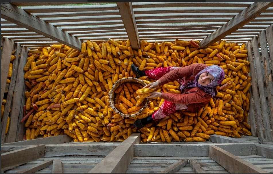 undefined görsel 1 undefined görsel 1