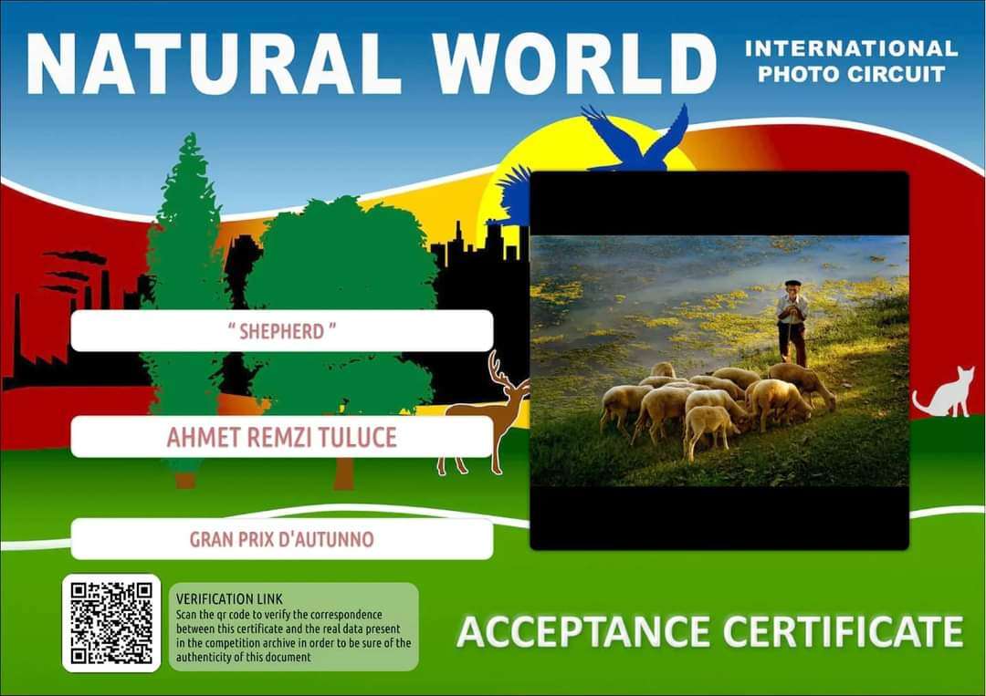 undefined görsel 1 undefined görsel 1