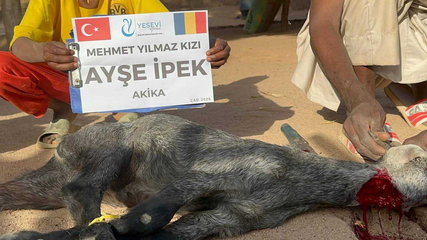 undefined görsel 3 undefined görsel 3